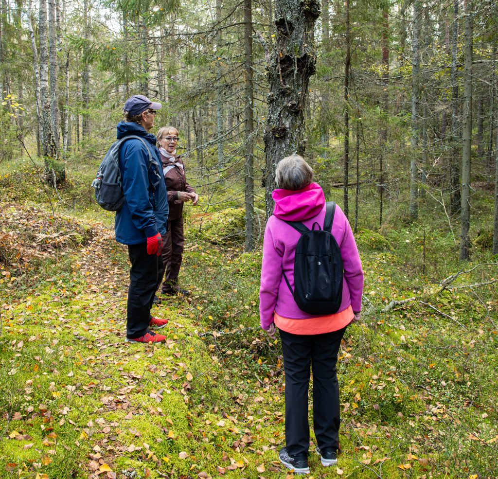 Ihmisiä syksyisessä lähiluonnossa. Kuva Katariina Salmi, Suomen Latu.